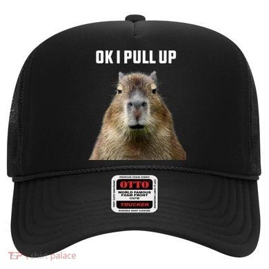 Ok I Pull Up Capybara Hat