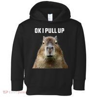 Ok I Pull Up Capybara Toddler Hoodie thumb 0