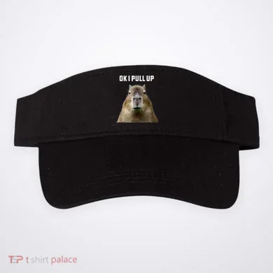 Visor