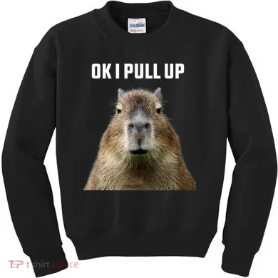 Ok I Pull Up Capybara Kids Sweatshirt
