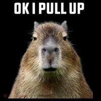 Ok I Pull Up Capybara Kids Sweatshirt thumb 2