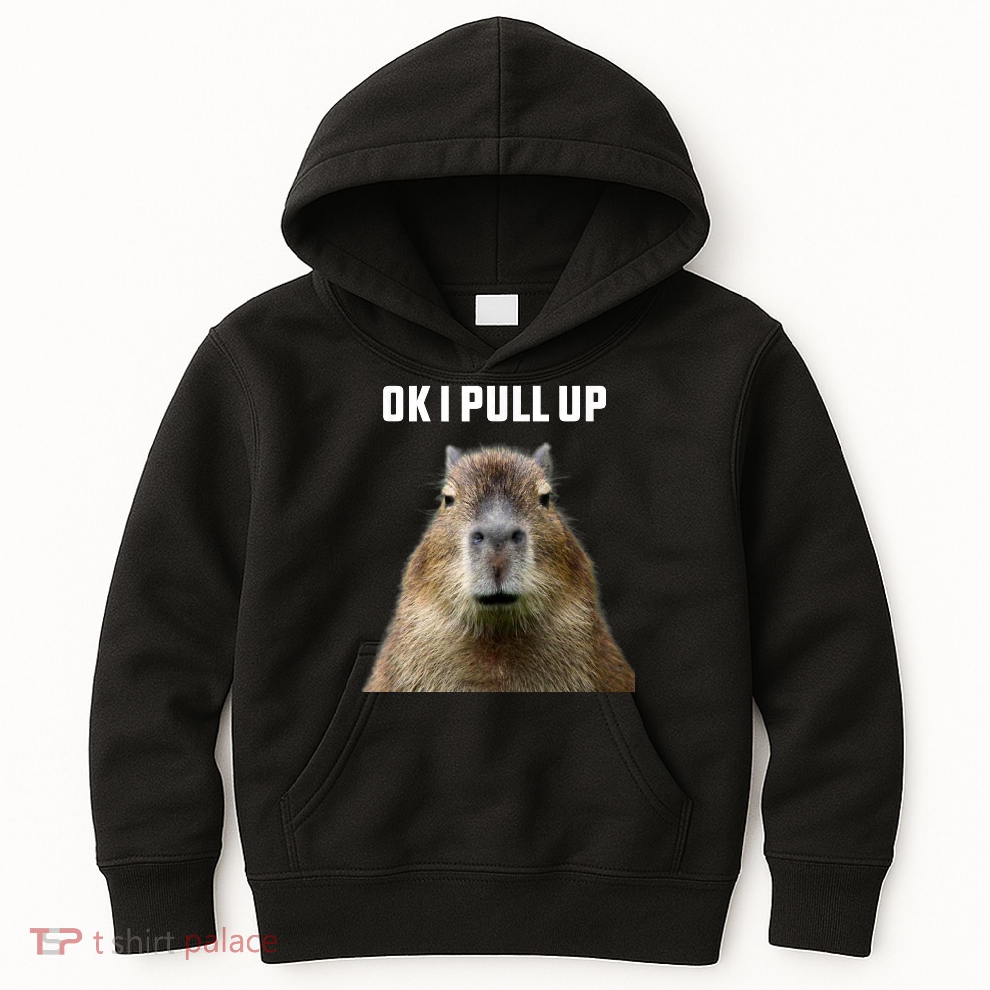Ok I Pull Up Capybara Kids Hoodie