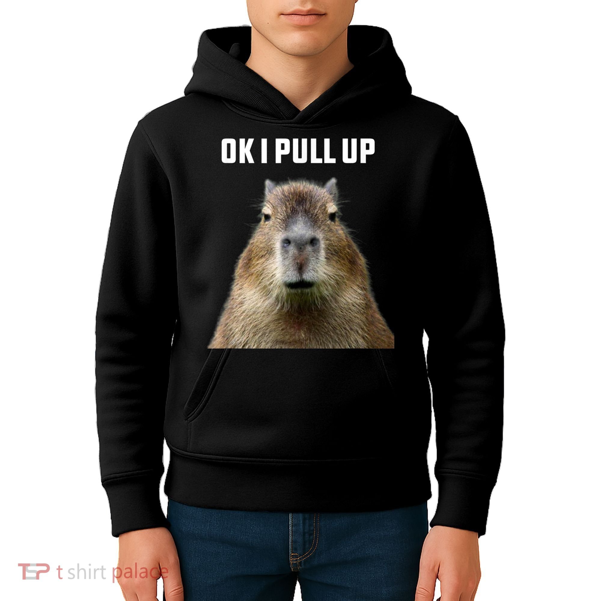 Ok I Pull Up Capybara Kids Hoodie