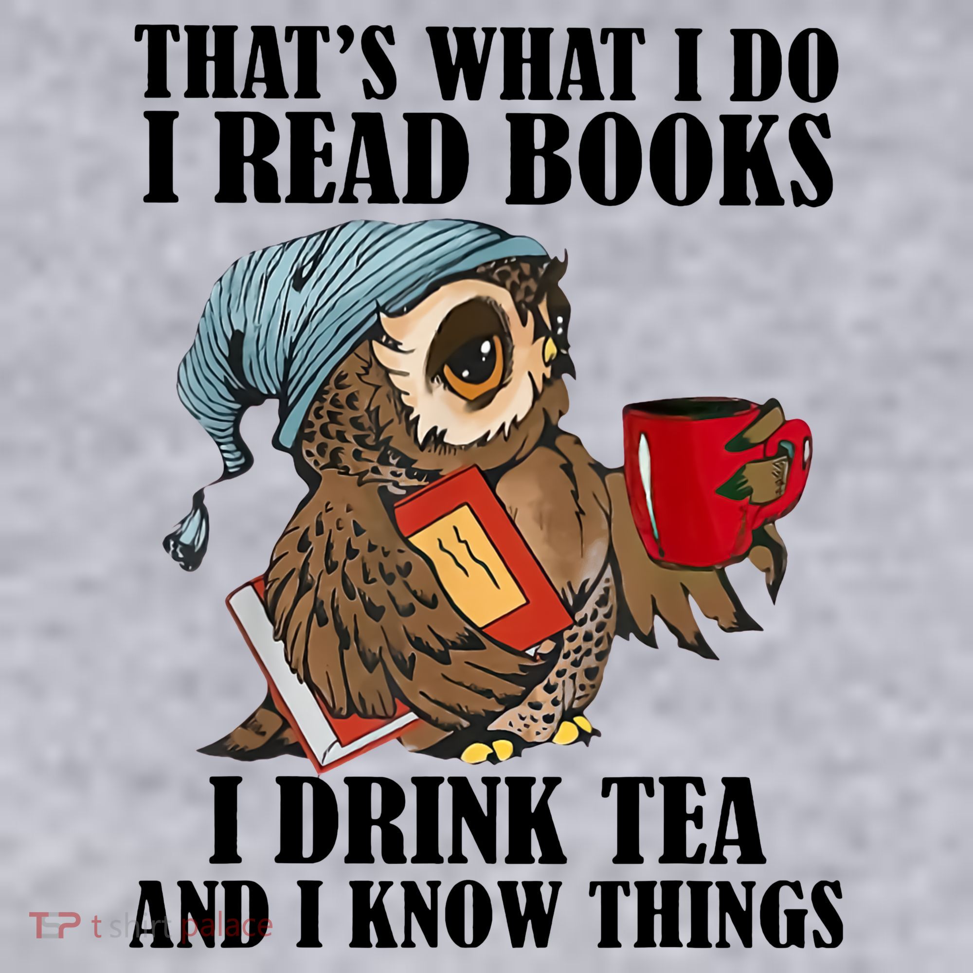 Owl I Read Books Drink Tea Know Things Funny Women's Sweatshirt