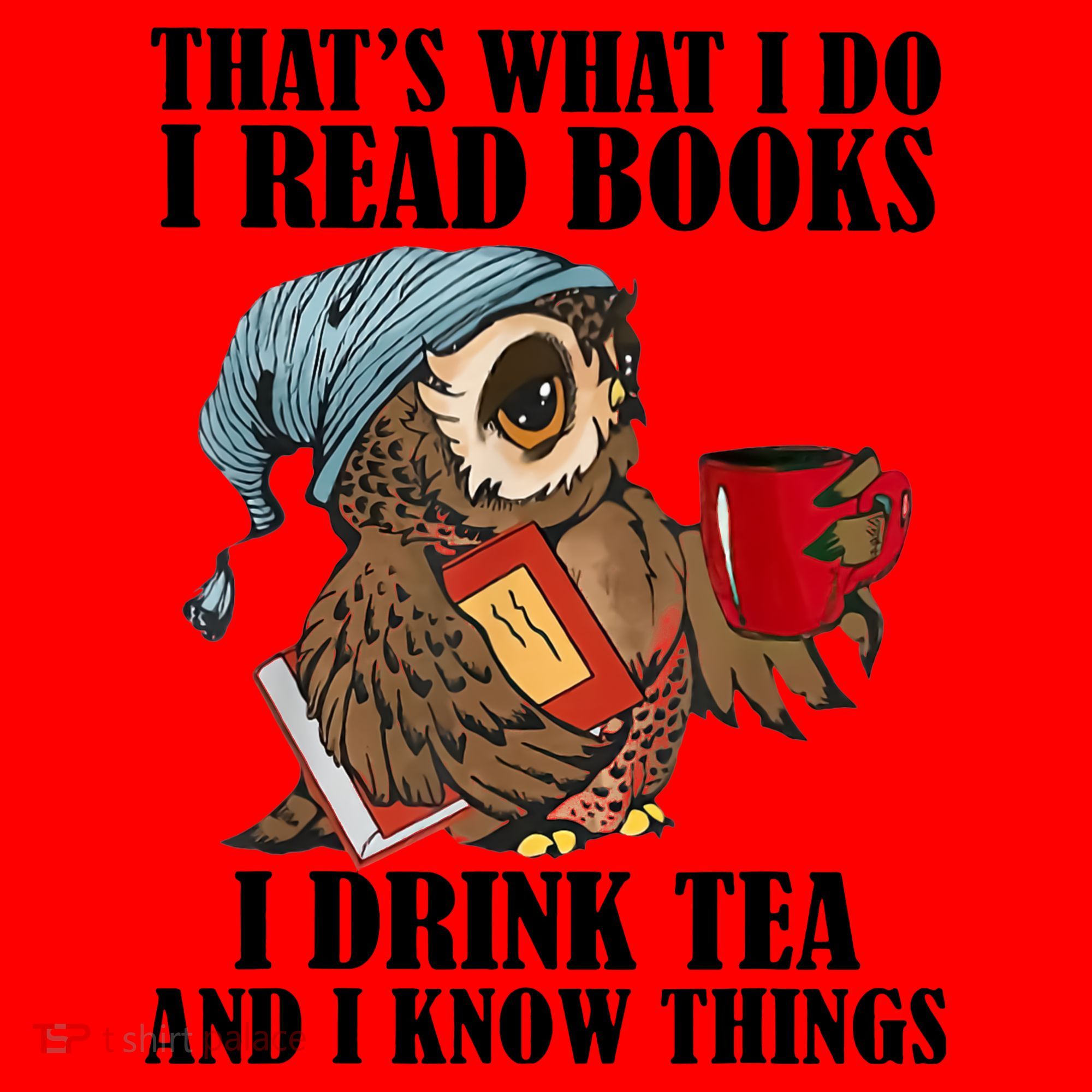 Owl I Read Books Drink Tea Know Things Funny Santa Hat