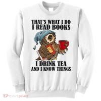 Owl I Read Books Drink Tea Know Things Funny Sweatshirt thumb 0