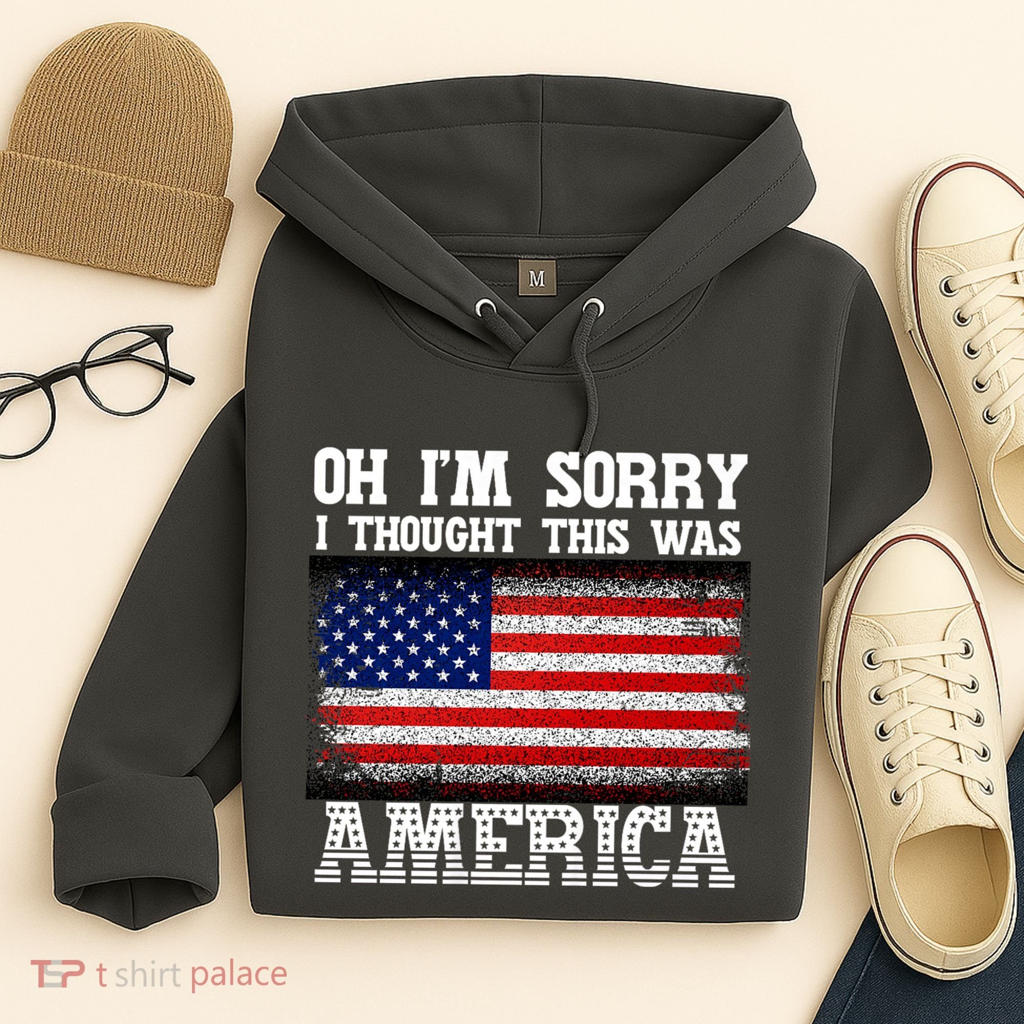 Oh IM Sorry I Thought This Was America Hoodie