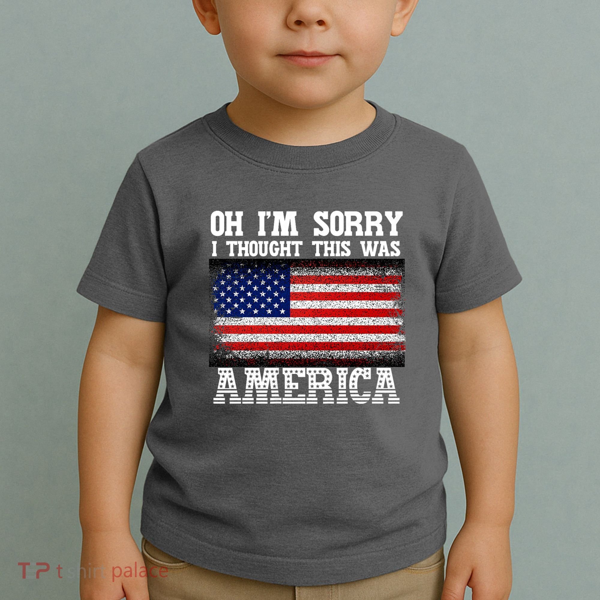 Oh IM Sorry I Thought This Was America Toddler T-Shirt
