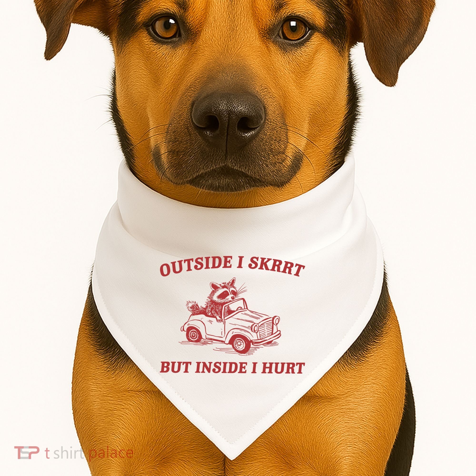 Outside I Skrrt Inside I Hurt Raccoon USA-Made Doggie Bandana