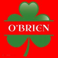O'Brien Irish Shamrock Lucky St Patricks Day Gift Santa Hat thumb 1