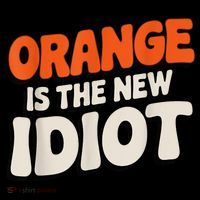 Orange Is The New Idiot Women's Long Sleeve Shirt thumb 2