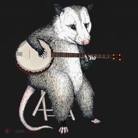 Opossum Japanese Wave Funny Vintage Possum Lover T-Shirt thumb 7