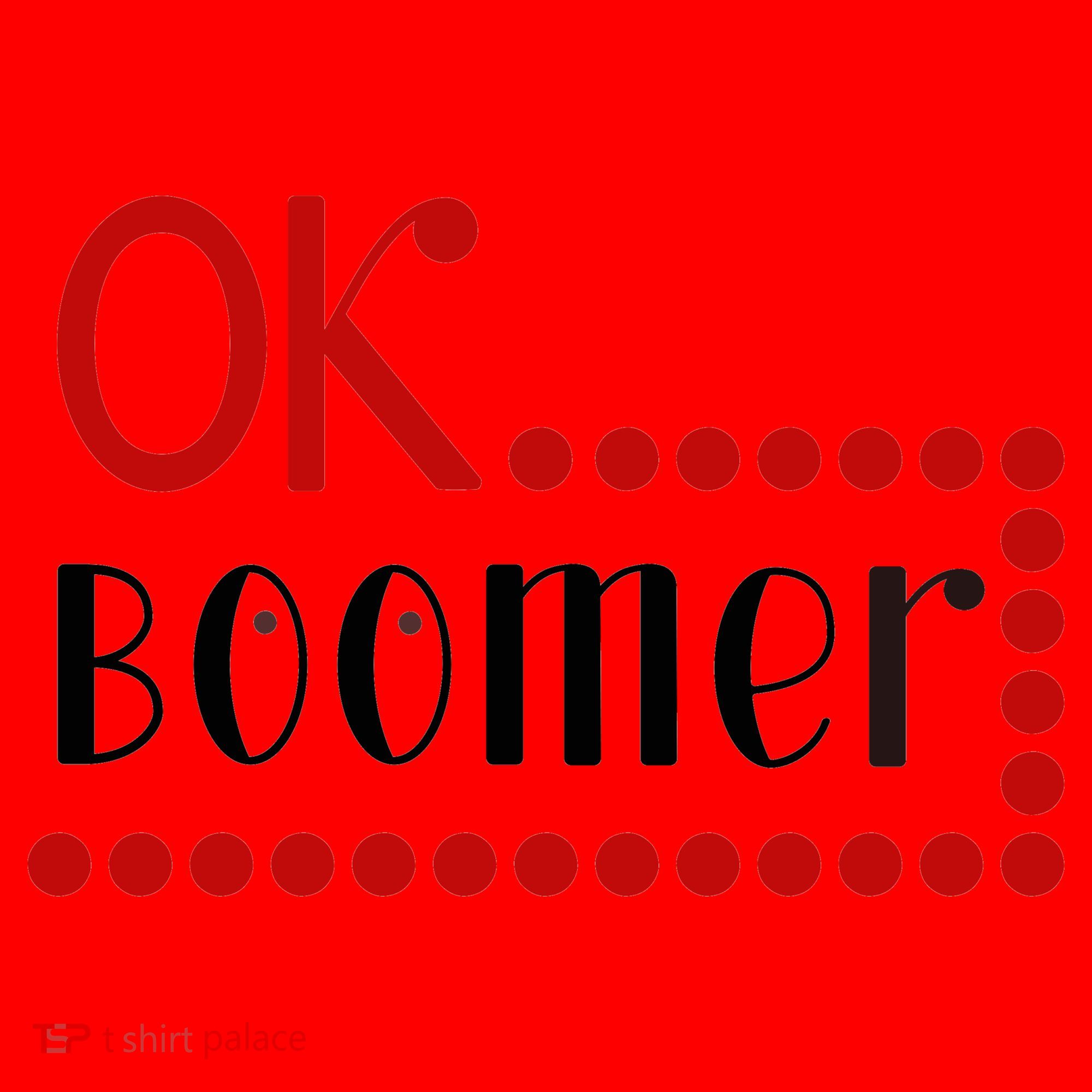 Ok Boomer Santa Hat