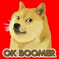 Ok Boomer Doge Santa Hat thumb 1