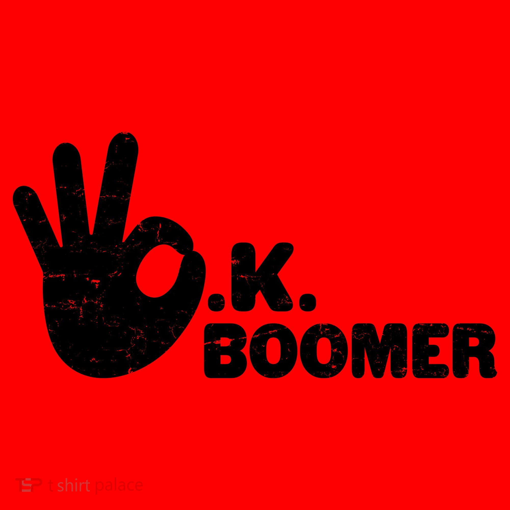 OK Boomer Funny Millenial OK Clapback Sarcasm Santa Hat