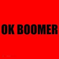 Ok Boomer Okay Gen Z Millennials Generation Santa Hat thumb 1
