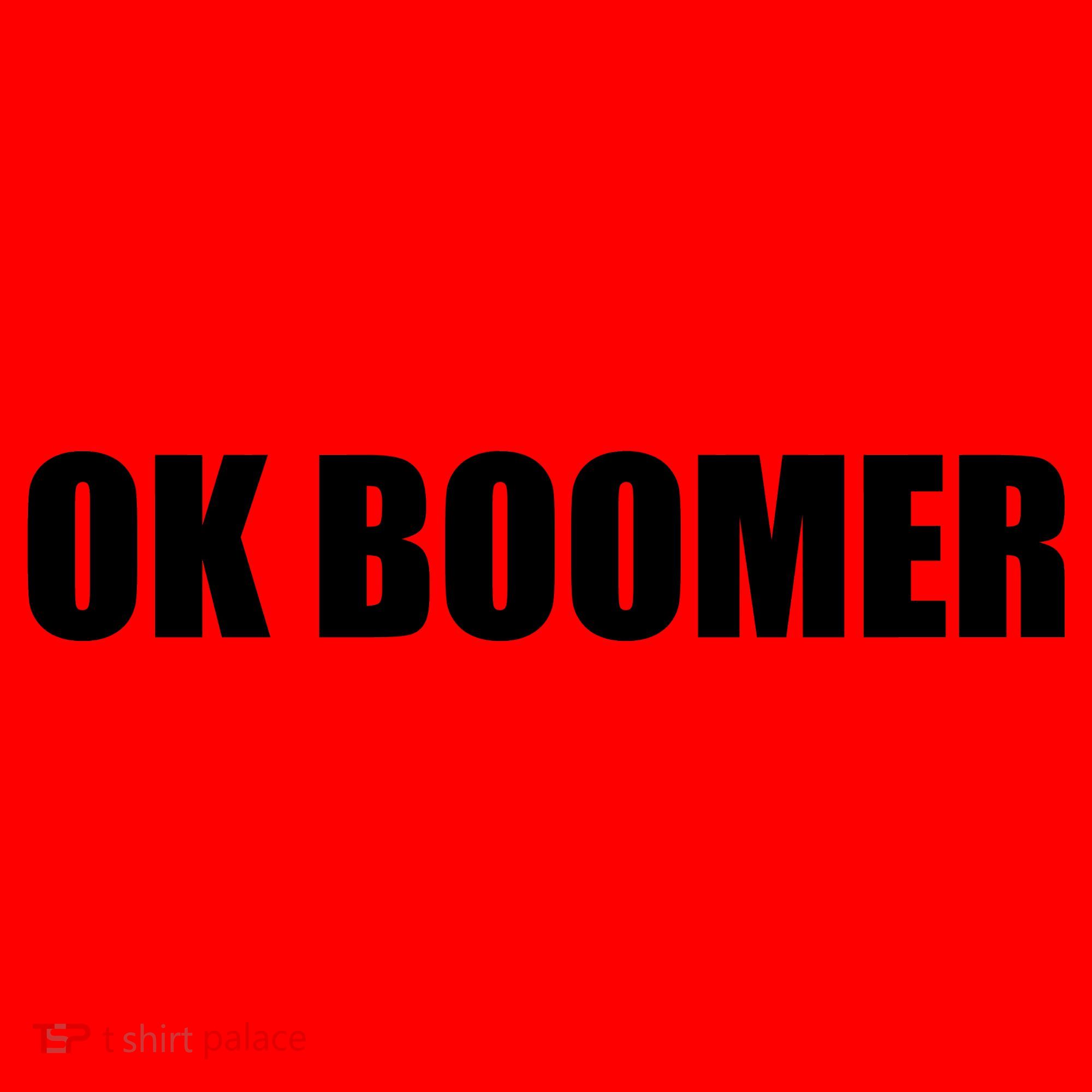 Ok Boomer Okay Gen Z Millennials Generation Santa Hat