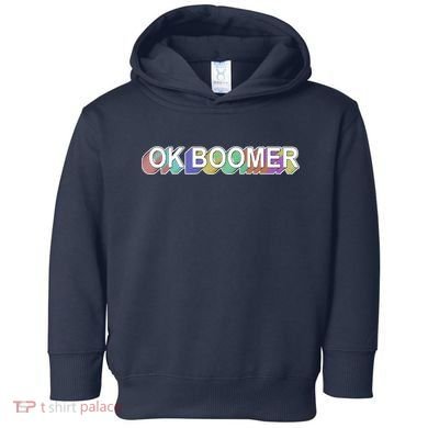 Ok Boomer Retro 80's Colors Toddler Hoodie