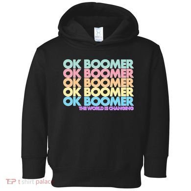 Ok Boomer The World Is Changing Toddler Hoodie