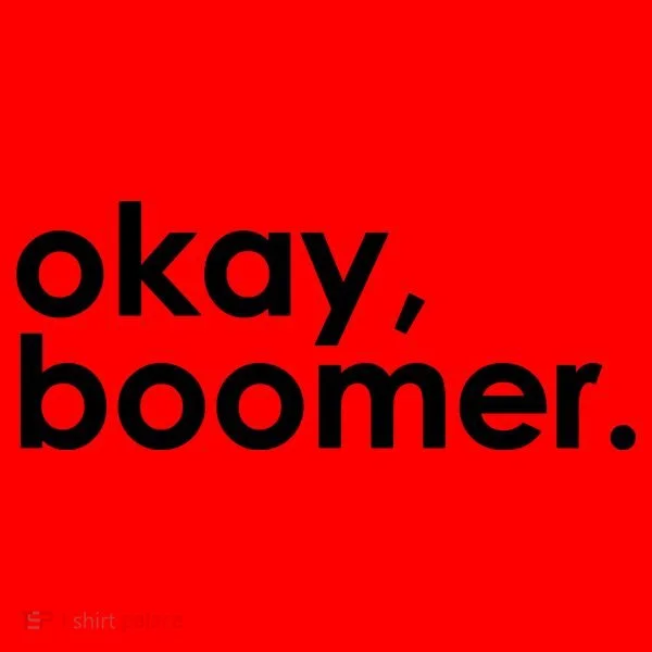 Okay, Boomer Millennial meme Santa Hat