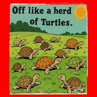Off Like A Herd Of Turtles! Funny Family Saying Santa Hat thumb 1