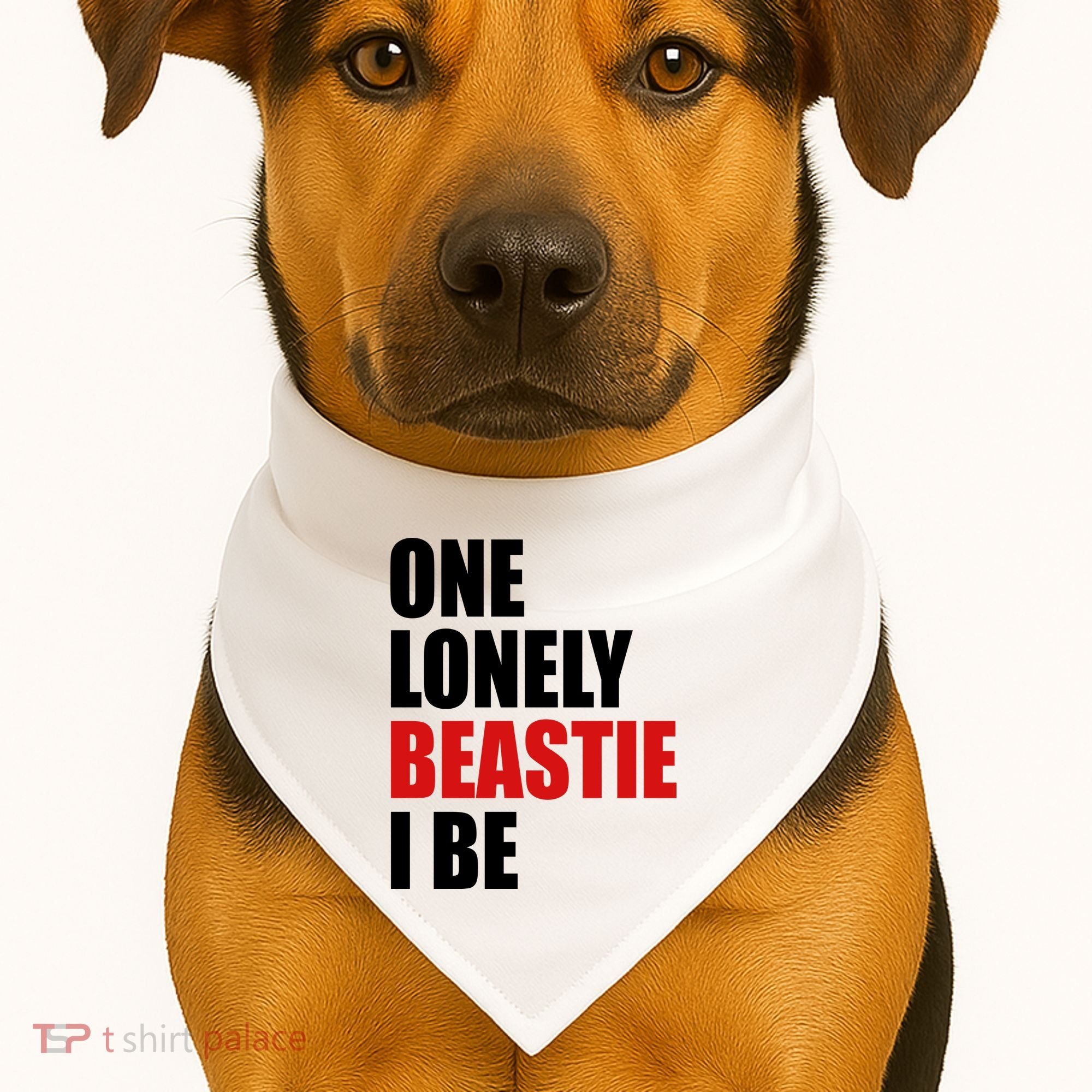 One Lonely Beastie I Be USA-Made Doggie Bandana