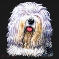 Old English Sheepdog Ornament thumb 1