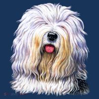Old English Sheepdog Sweatshirt thumb 3