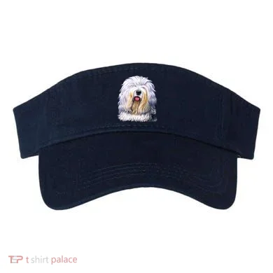 Visor