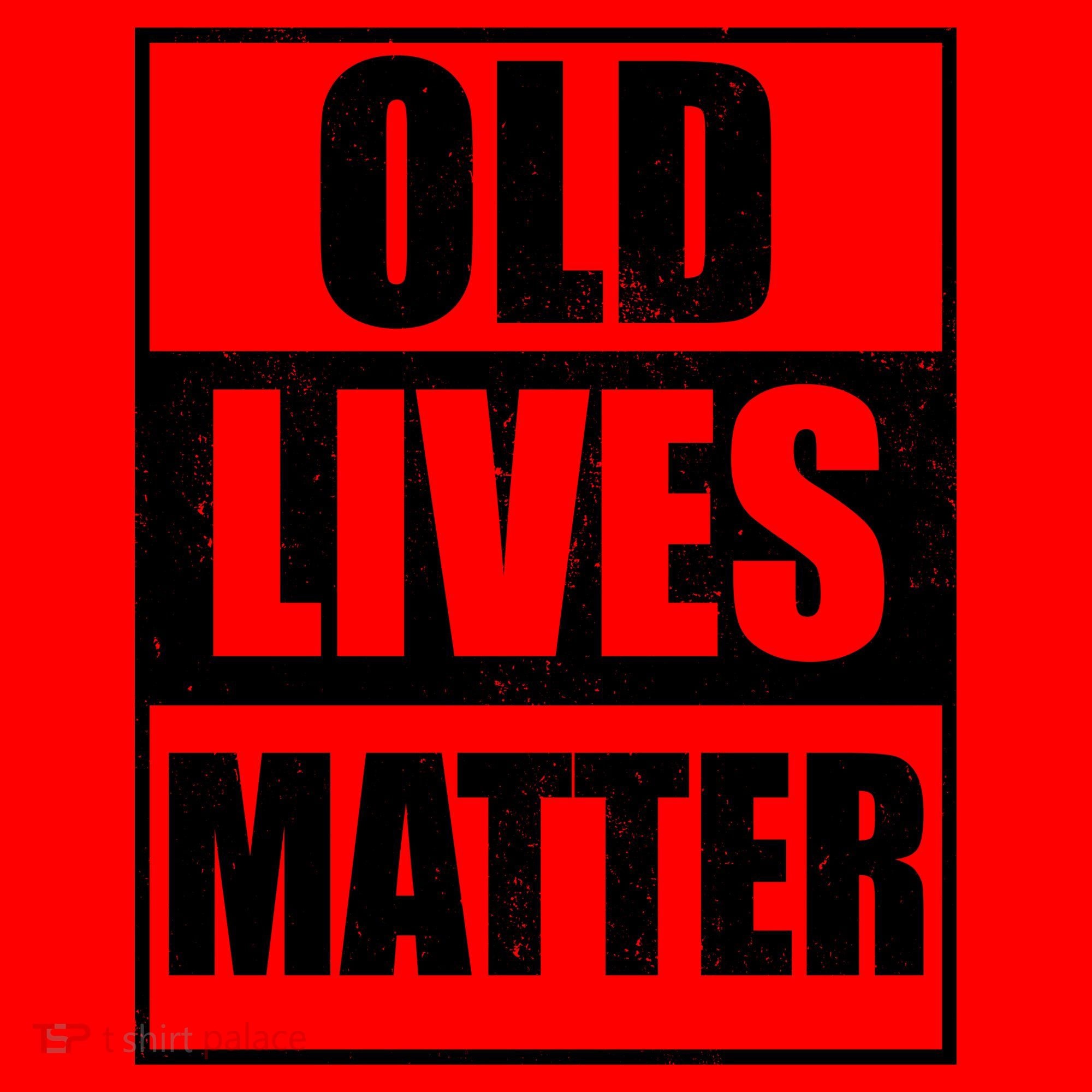 Old Lives Matter Distressed Logo Santa Hat