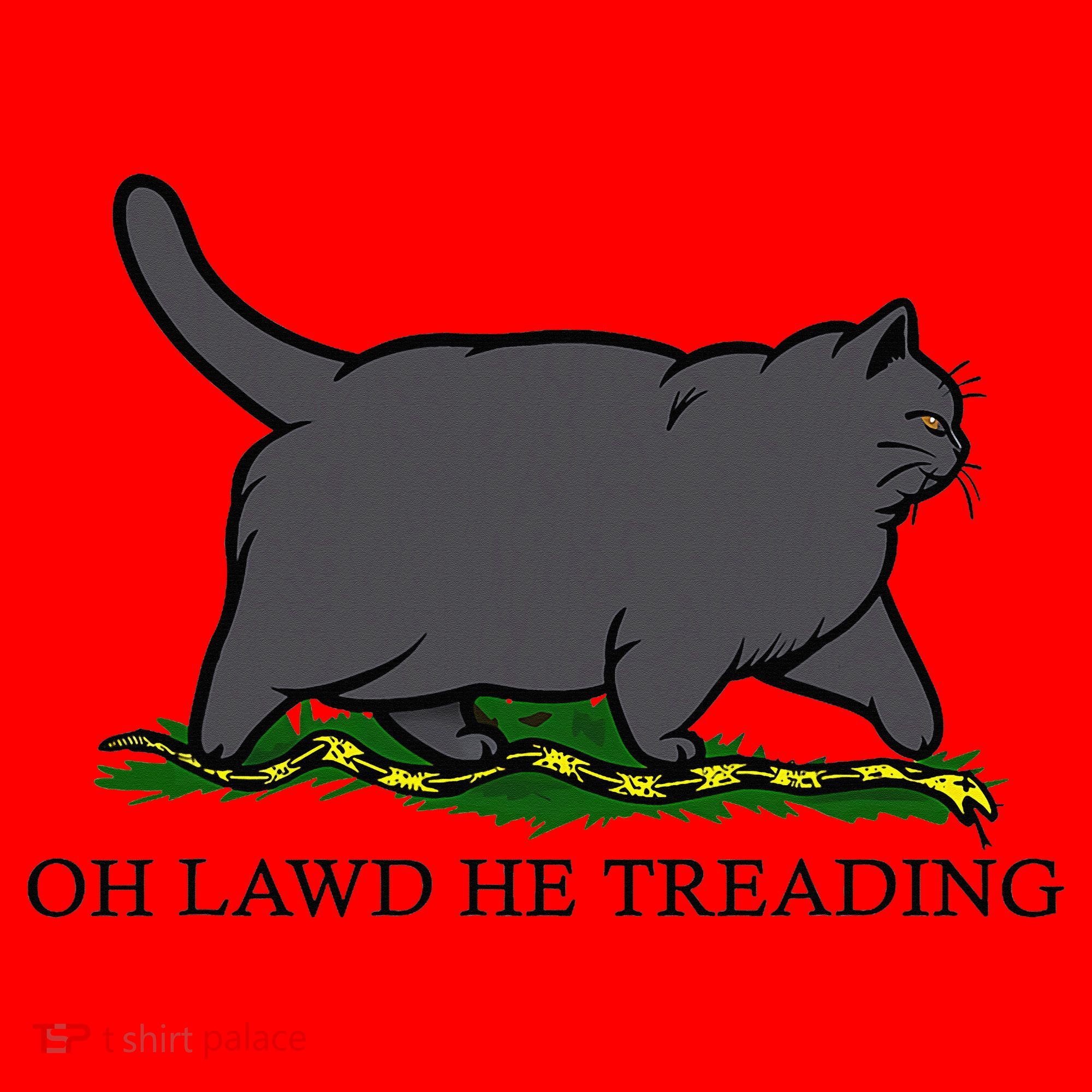 Oh Lawd He Treading Funny Fat Cat Santa Hat