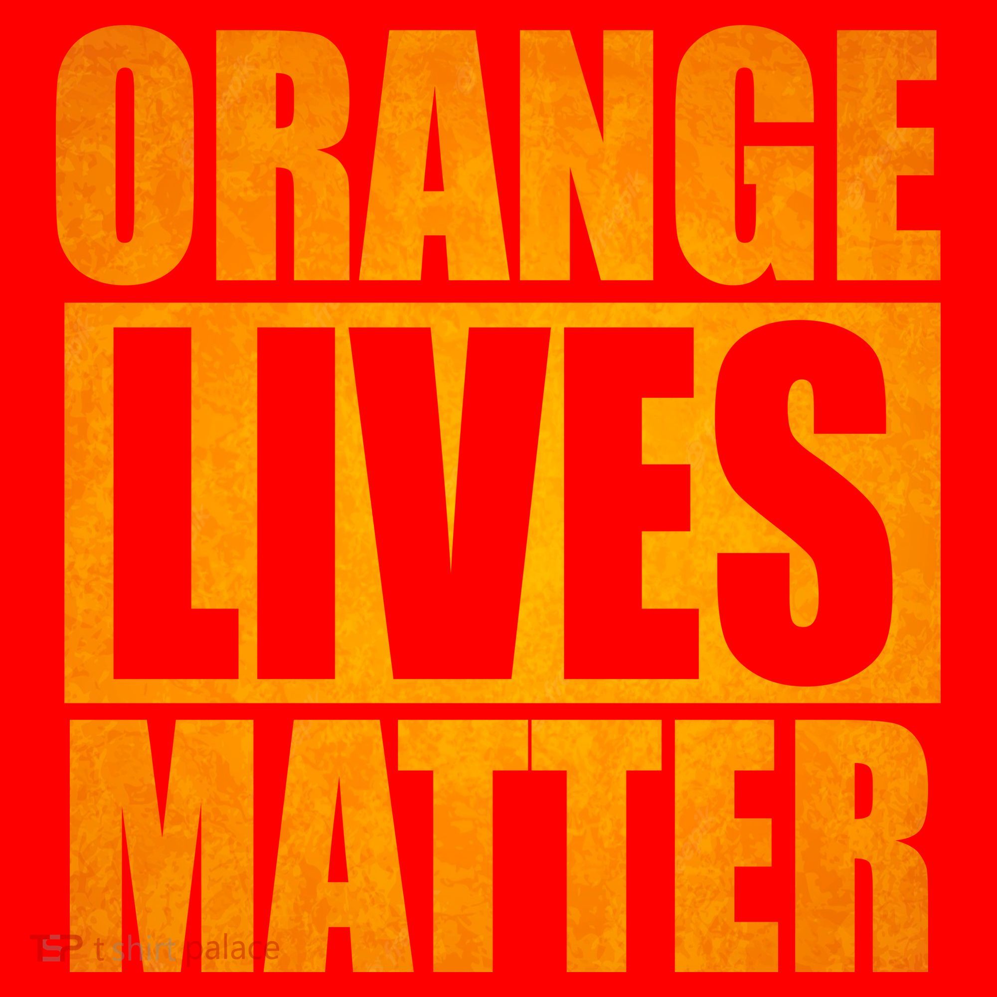 Orange Lives Matter Funny Donald Trump Santa Hat