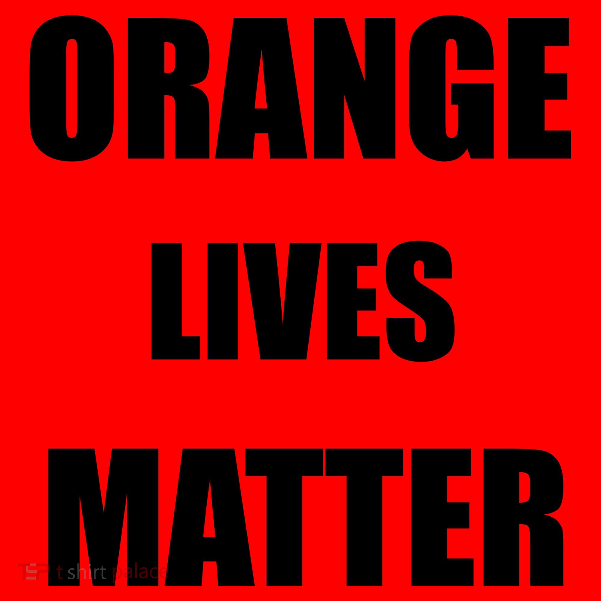 Orange Lives Matter Santa Hat