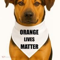 Orange Lives Matter USA-Made Doggie Bandana thumb 1