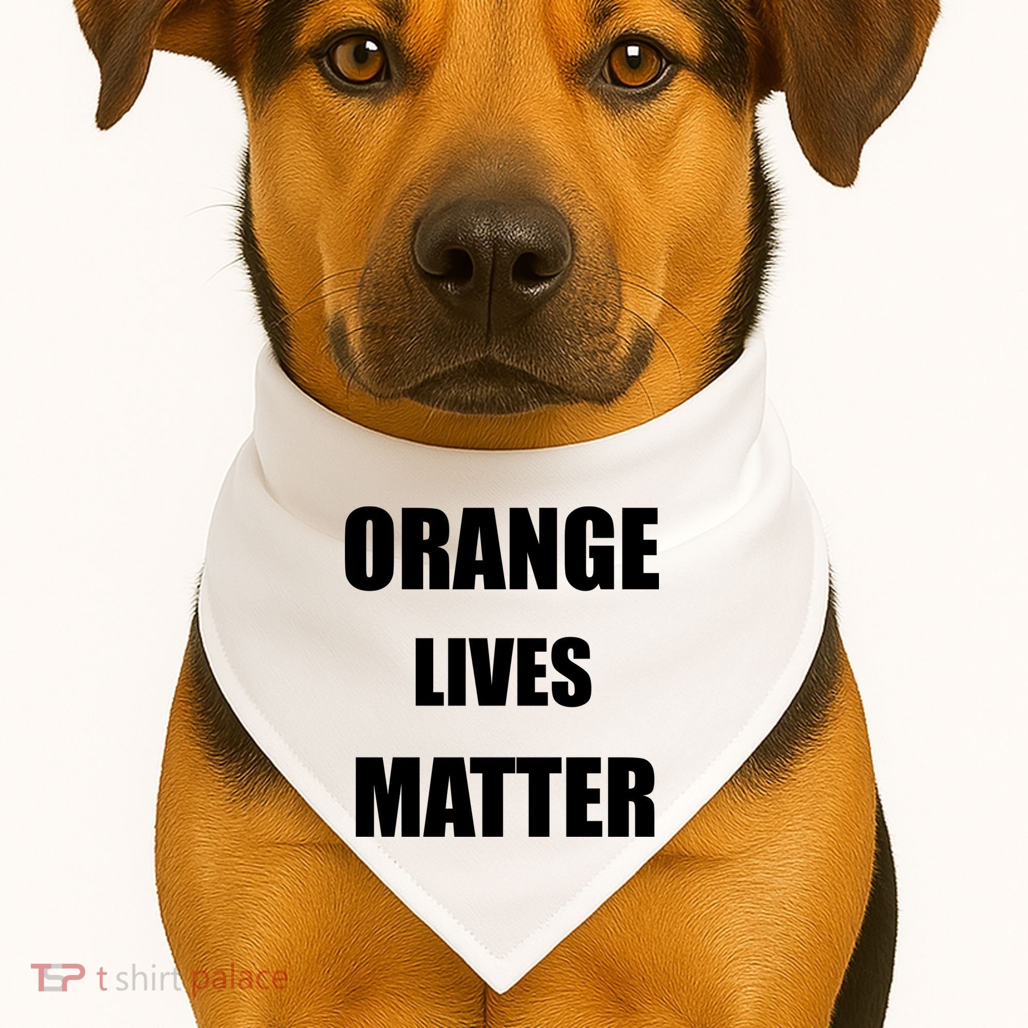 Orange Lives Matter USA-Made Doggie Bandana