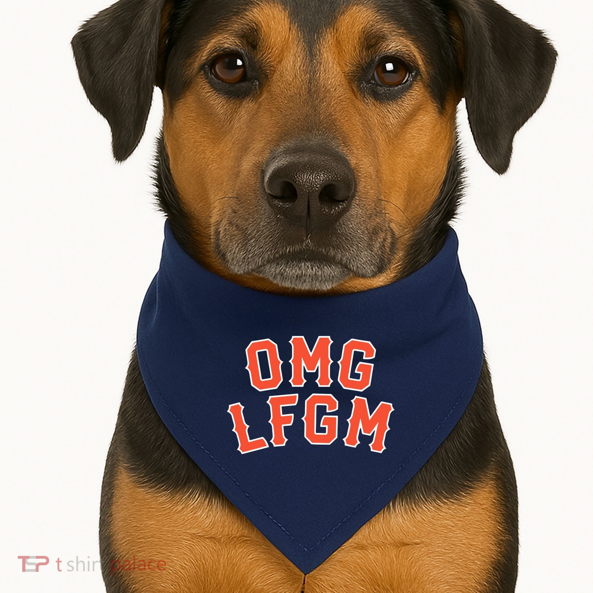 Omg Lfgm New York USA-Made Doggie Bandana