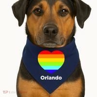 Orlando Love Rainbow Heart USA-Made Doggie Bandana thumb 1