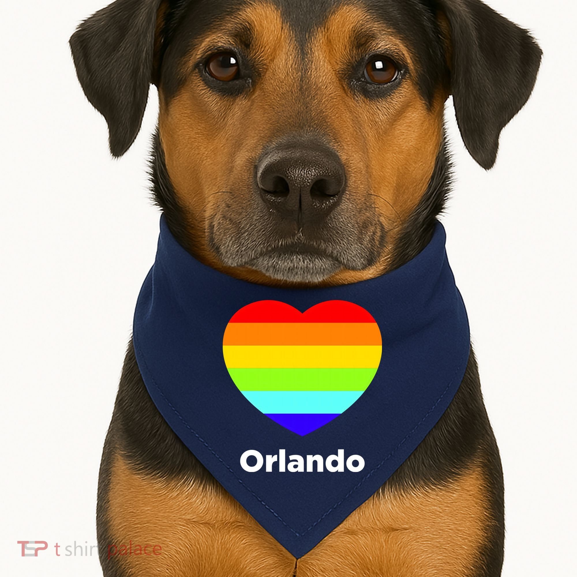 Orlando Love Rainbow Heart USA-Made Doggie Bandana