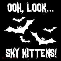 OOh Look... Sky Kittens Funny Coaster thumb 2