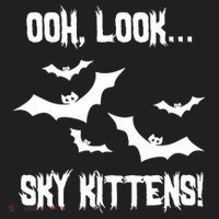 OOh Look... Sky Kittens Funny Urban Oversized Heavyweight T-Shirt thumb 2