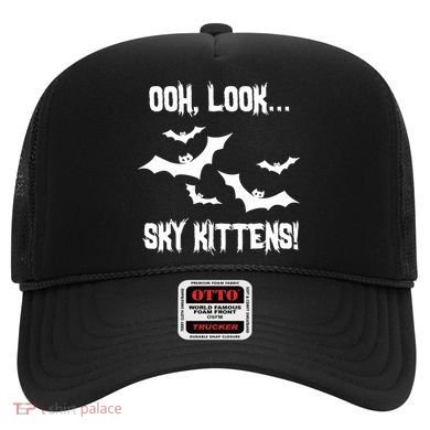 OOh Look... Sky Kittens Funny Hat