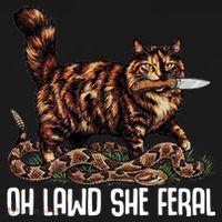 Oh Lawd She Feral Tortoiseshell Cat Coaster thumb 2