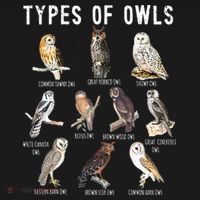 Owl Lover Types Of Owls Owls Of World Owl T-Shirt thumb 7