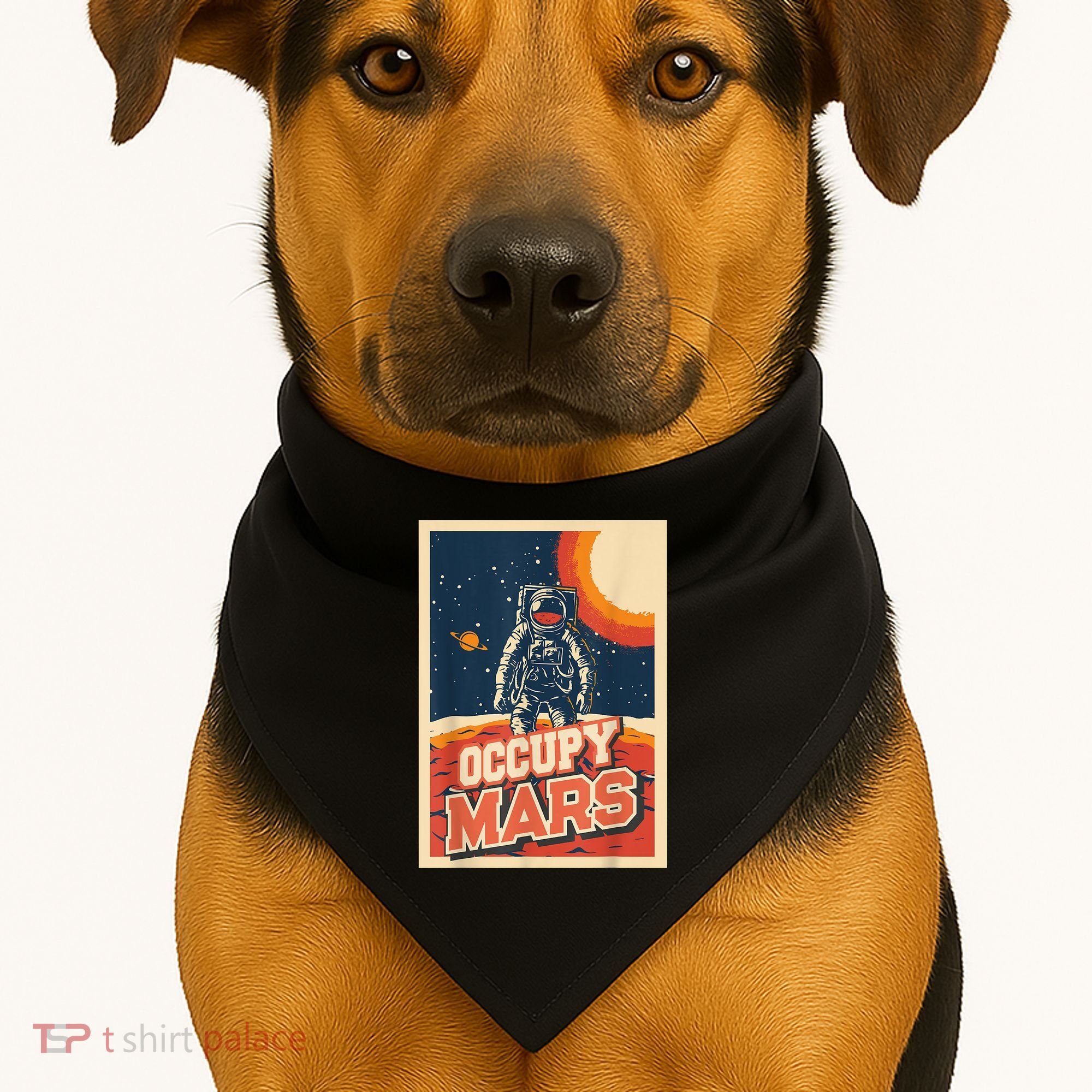 Occupy Mars Aerospace Space Travel USA-Made Doggie Bandana