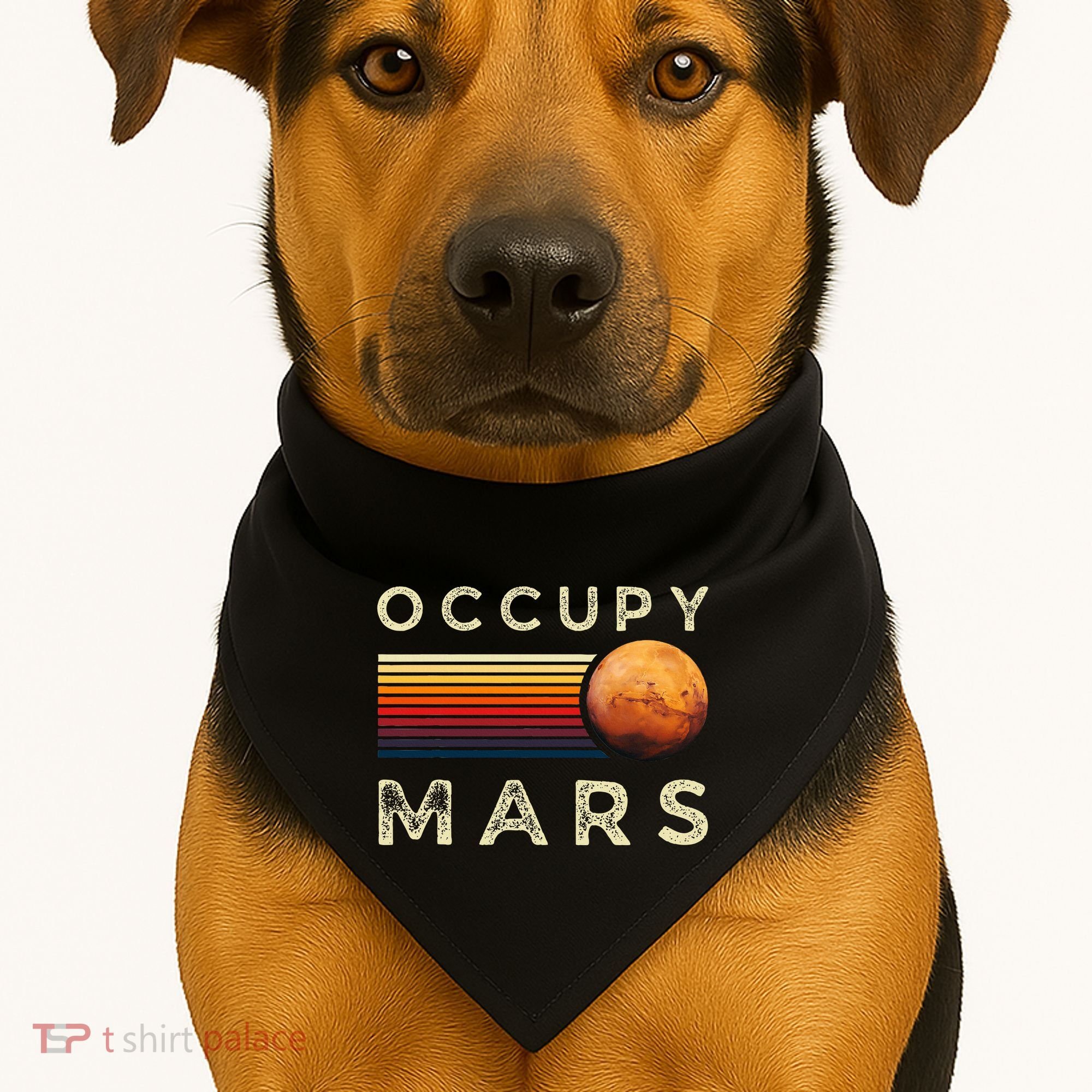 Occupy Mars Astronomy Space Explorer USA-Made Doggie Bandana