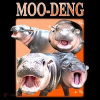 Orange Moo Deng Meme Hippo Coaster thumb 2