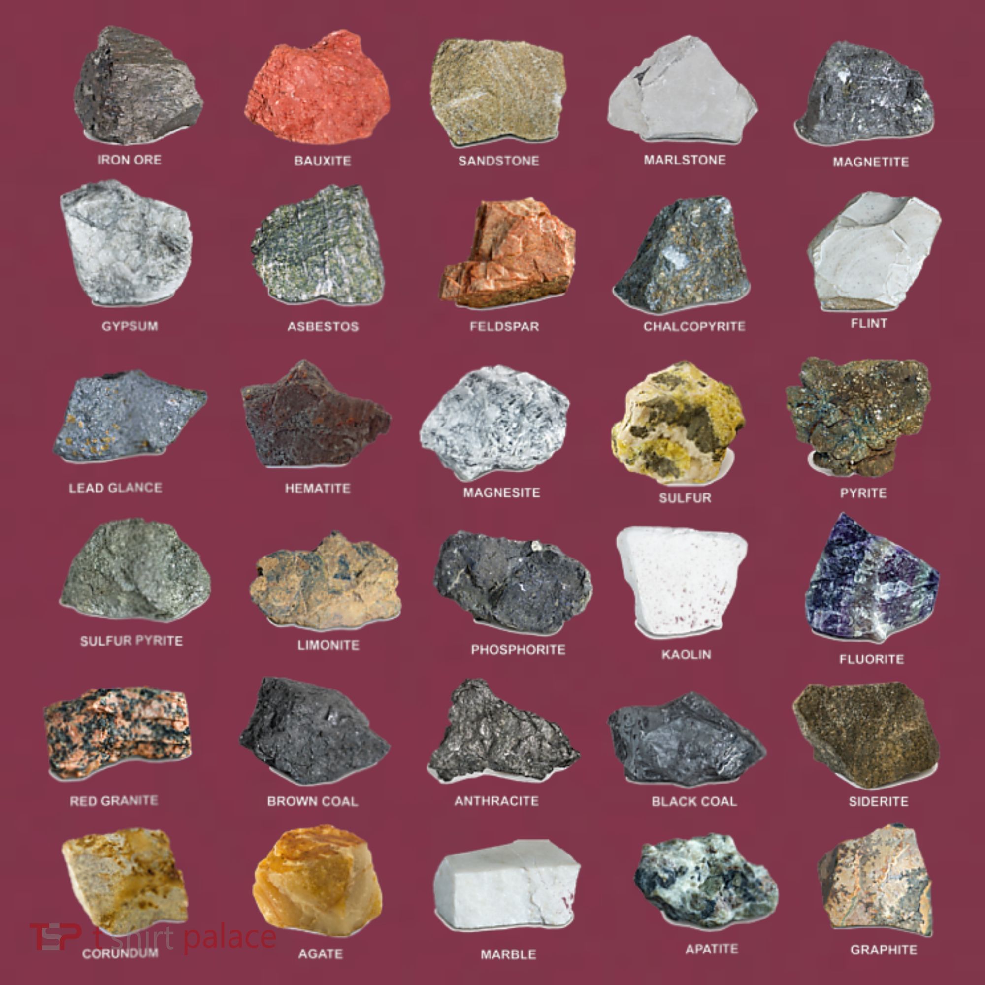 Ores Minerals Gems And Crystals Rock Collecting 16oz Travel Tumbler