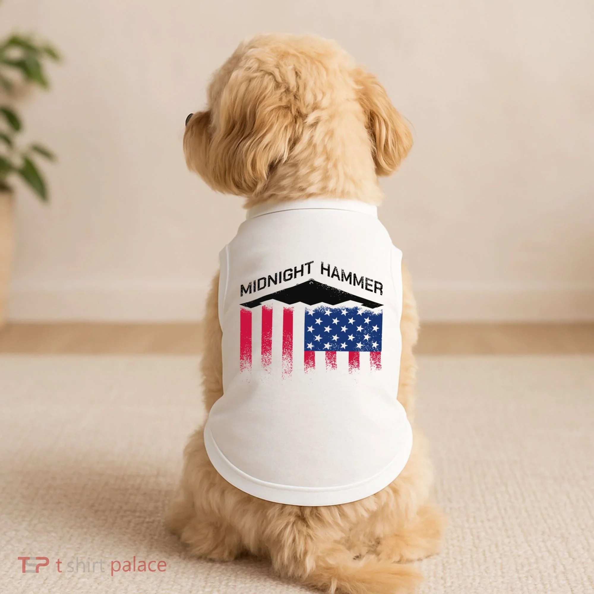 Operation Midnight Hammer American Flag B-2 Doggie Tank