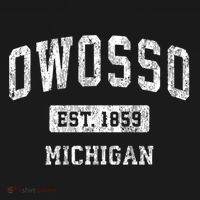 Owosso Michigan Mi Vintage Sports Established T-Shirt thumb 7