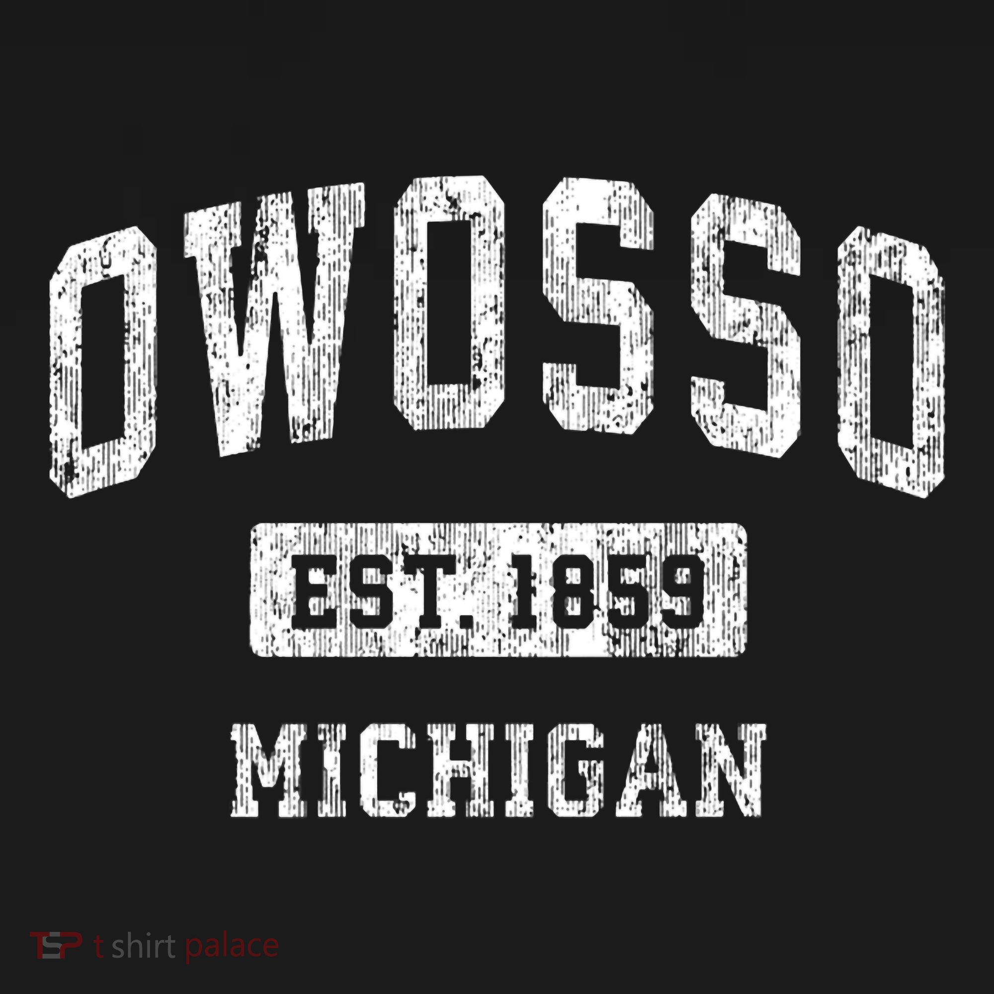 Owosso Michigan Mi Vintage Sports Established T-Shirt